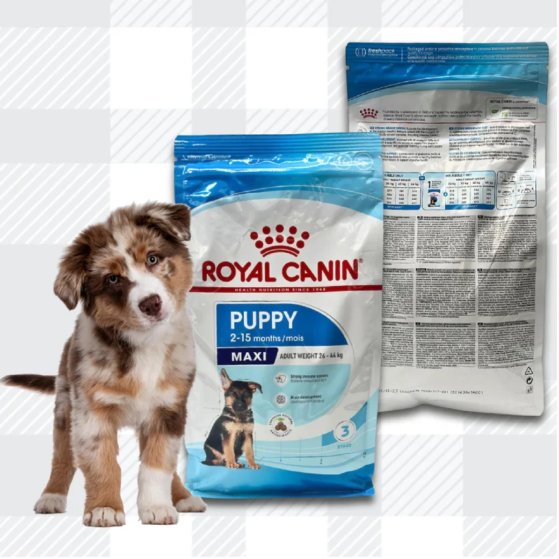 AETN Creations Maxi Puppy Pack Royal Canin 1kg Dry Food + AETN Jerky Dog Treat and Fun Plush Toy Complete Pack for Large Breed Puppies