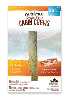 Elk Antler Dog Chew | Medium- Dog Chew - Nutrience