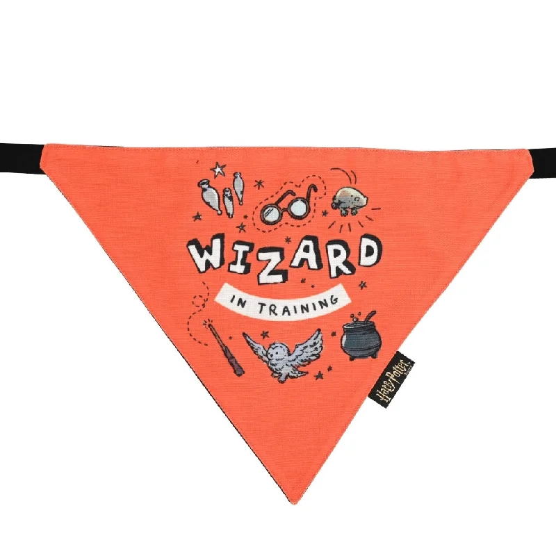 Harry Potter - Woofy Wizard Bandana