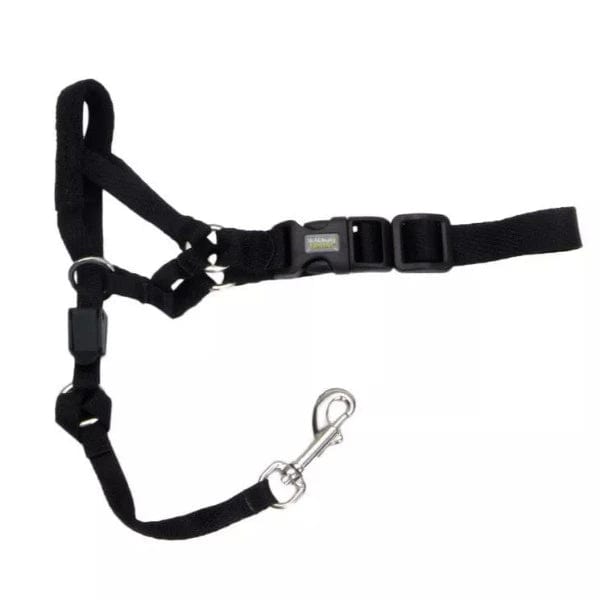 Walk 'n Train! Dog Head Halter