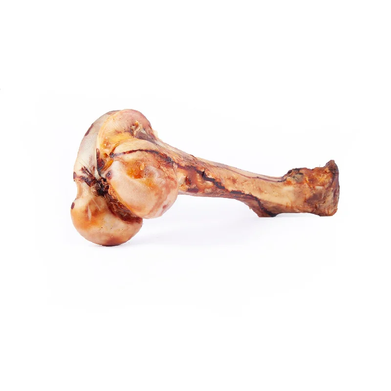 16-18″ Monster Beef Femur Bones