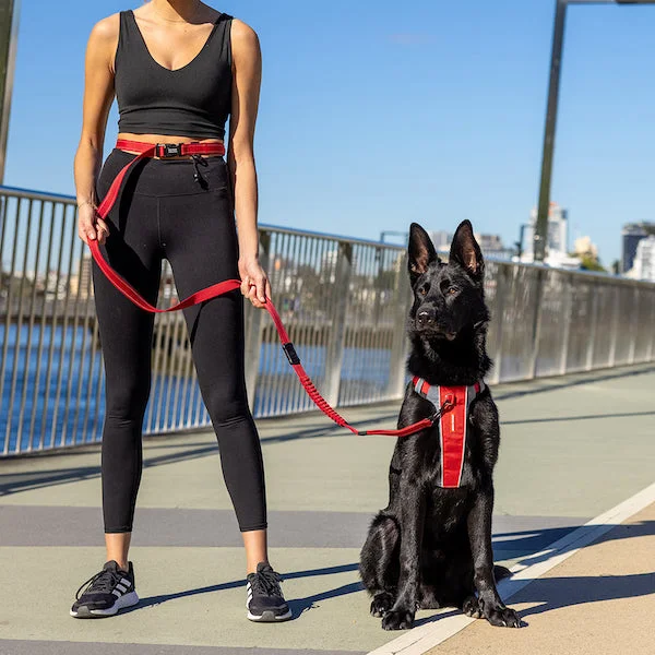 Road Runner Leash featuring Zero Shock Technology